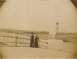 Image description is not available for 2003.018